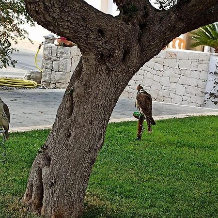 I Cinque Ulivi Apartment Alberobello Bagian luar foto