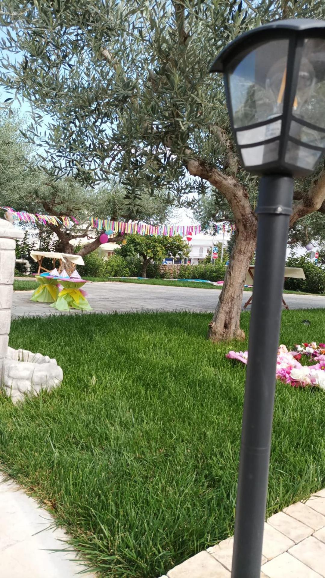 I Cinque Ulivi Apartment Alberobello Bagian luar foto