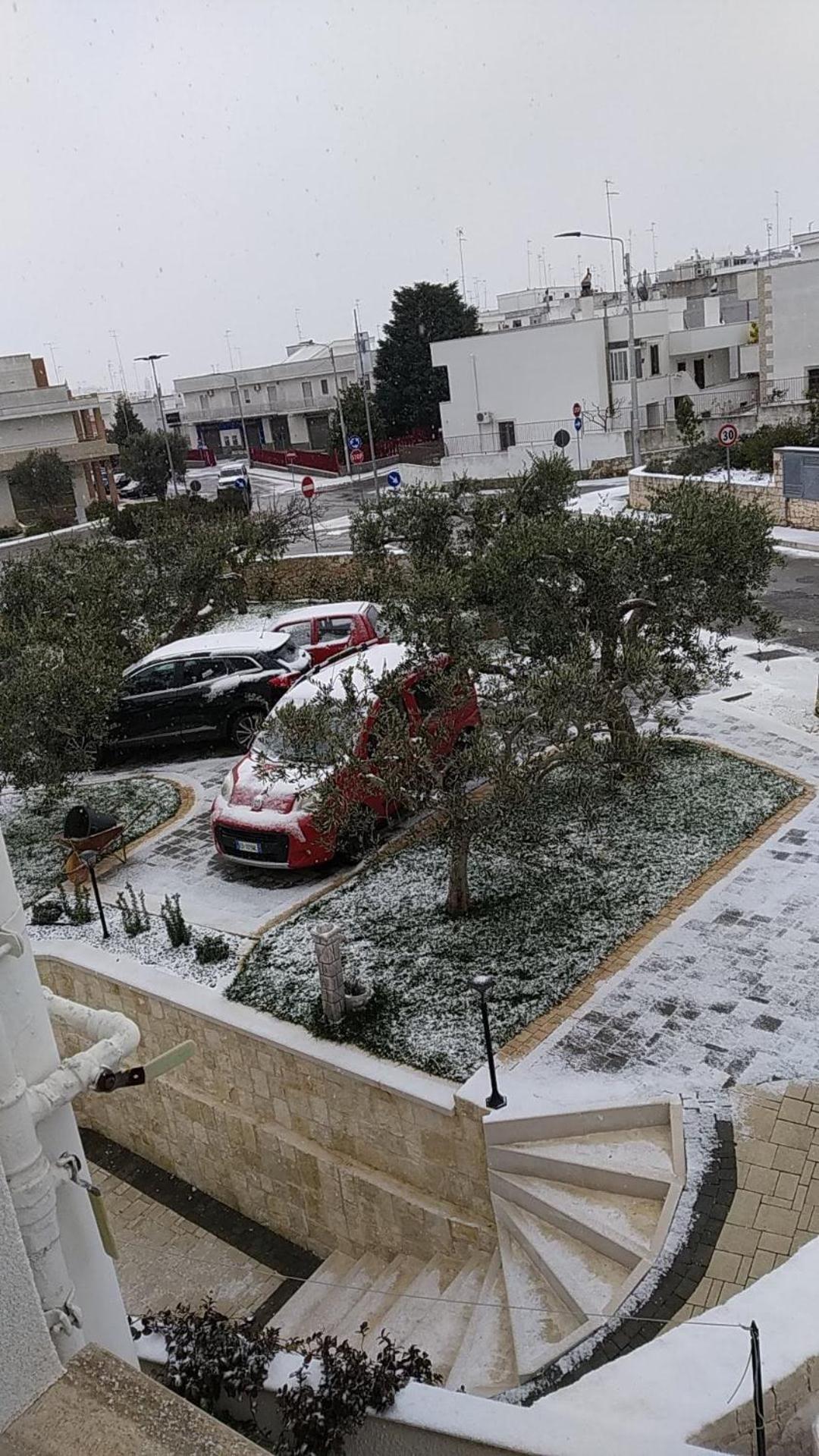 I Cinque Ulivi Apartment Alberobello Bagian luar foto